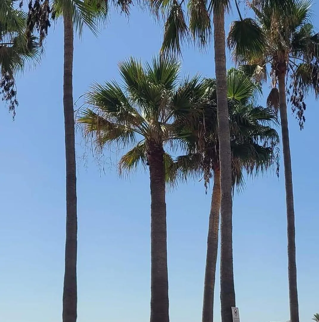 Marina Casares Beachside Apartment